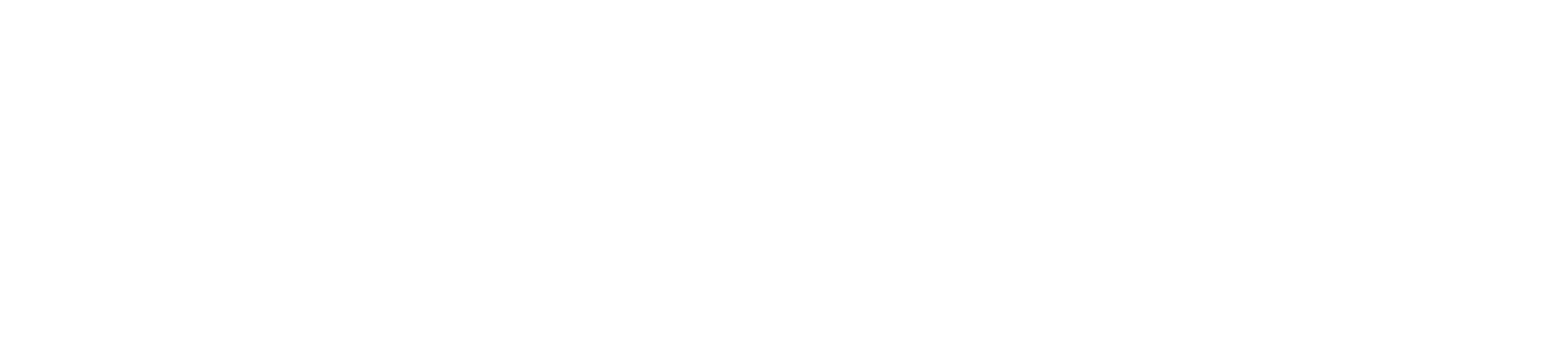 Schlafer Wealth Management